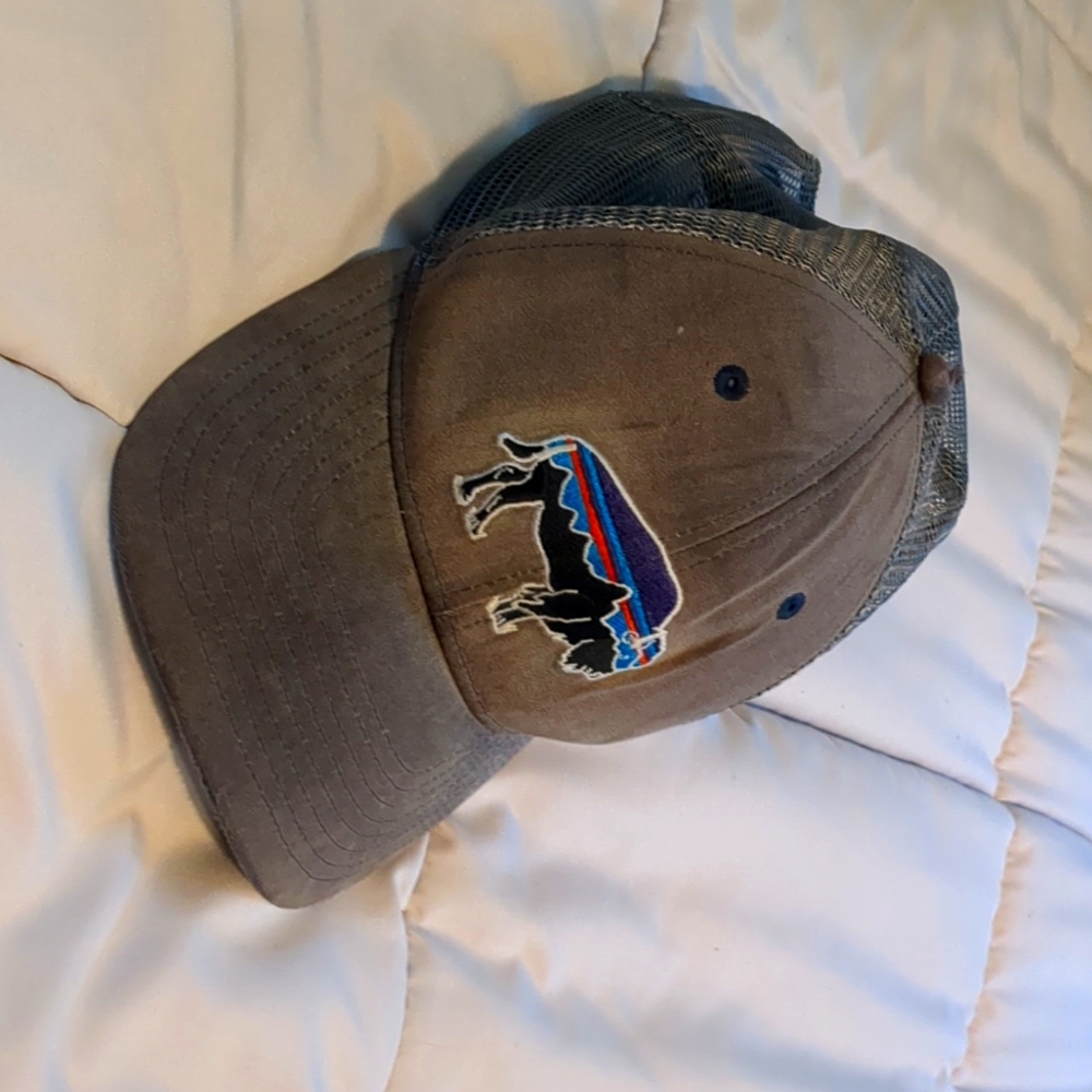 Patagonia Fitzroy Bison Trucker Hat